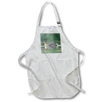 Apron - Red-necked Grebe chick rides atop parent on lake in Okanogan Cty, WA Ducks