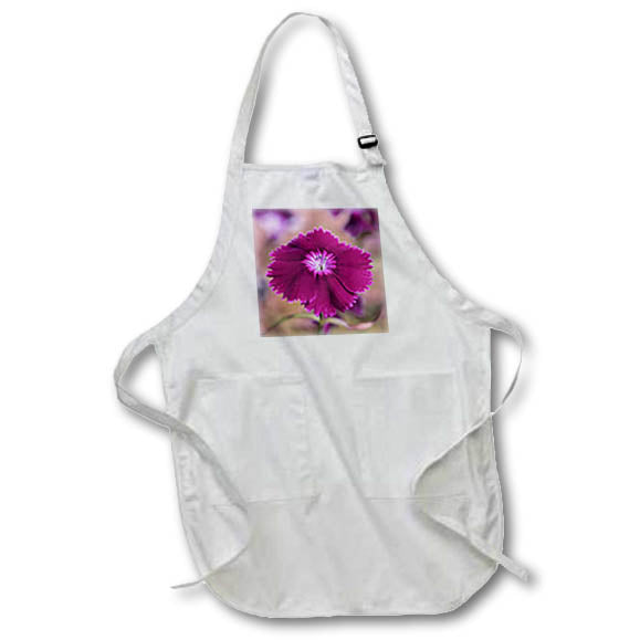 Apron - A macro photograph of a purple dianthus in bloom. Stamp City - flower macro