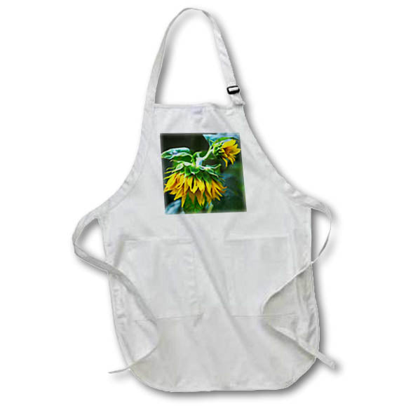 Apron - Sunflowers drooping in late afternoon Photography - Flowers