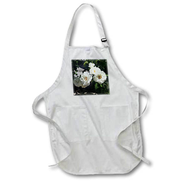 Apron - Photo of a be among lovely white roses Photography - Bee And White Roses