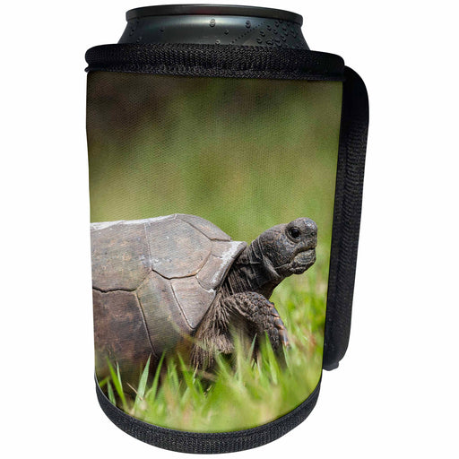image of Can Cooler Bottle Wrap