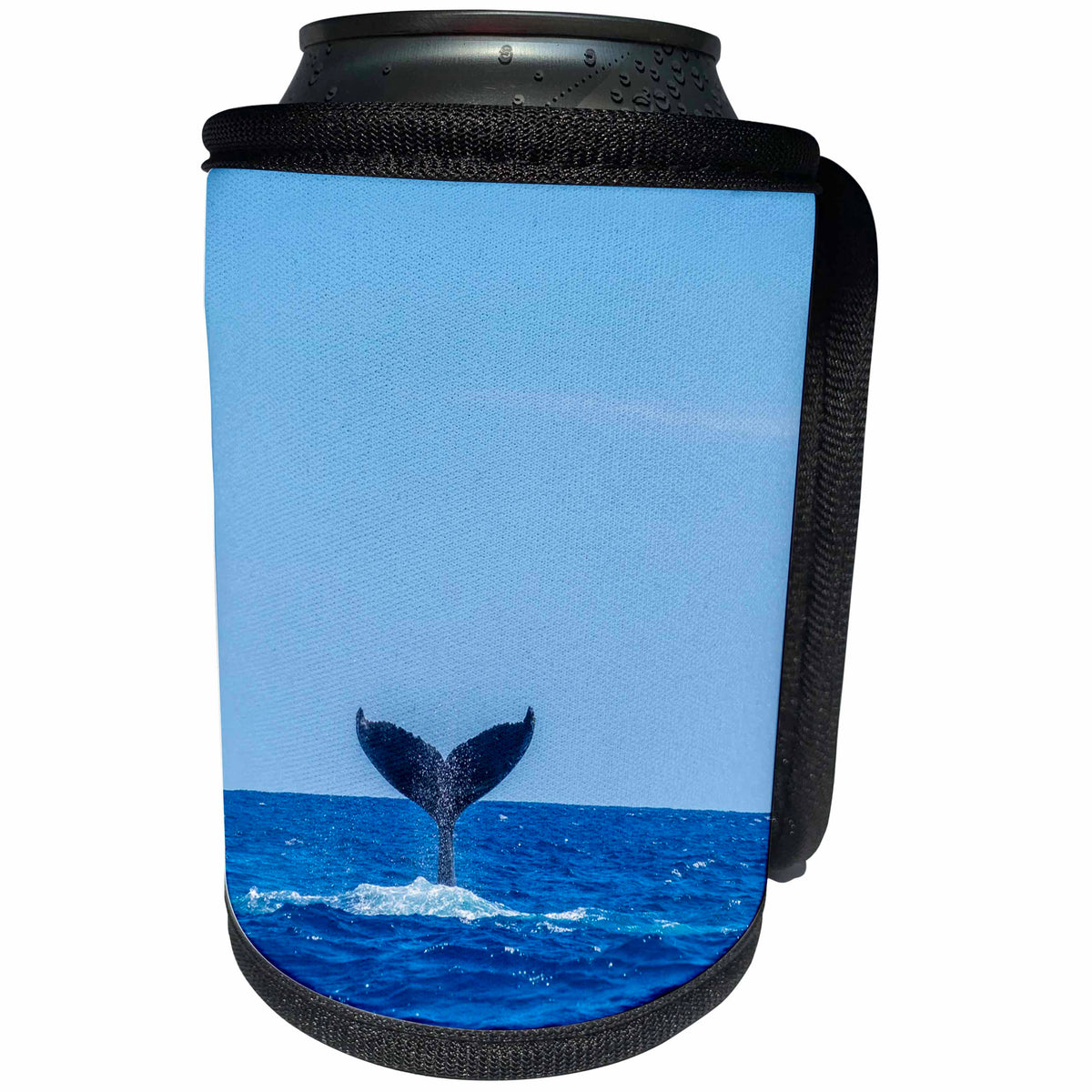 3dRose Danita Delimont - Whales - Humpback whale tail - Can Cooler Bottle Wrap (cc_346513)