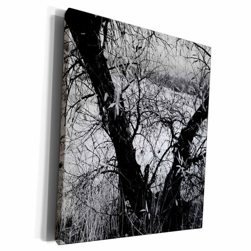 image of Museum Grade Canvas Wrap