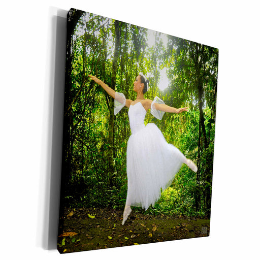 image of Museum Grade Canvas Wrap