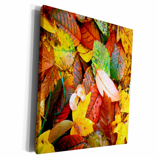 image of Museum Grade Canvas Wrap