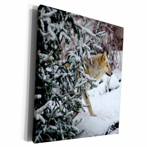 image of Museum Grade Canvas Wrap