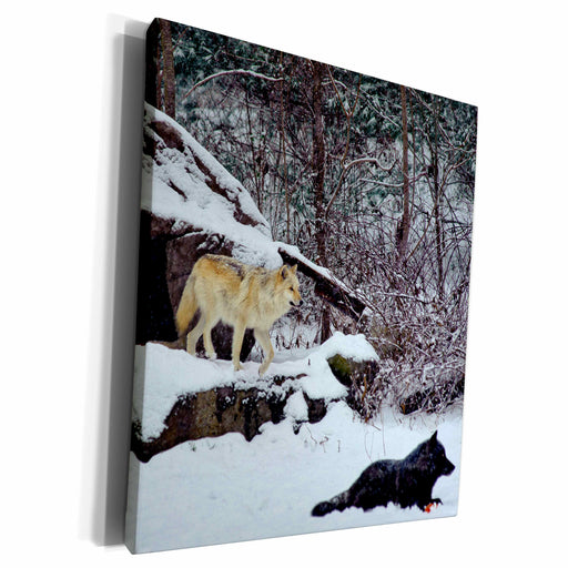 image of Museum Grade Canvas Wrap