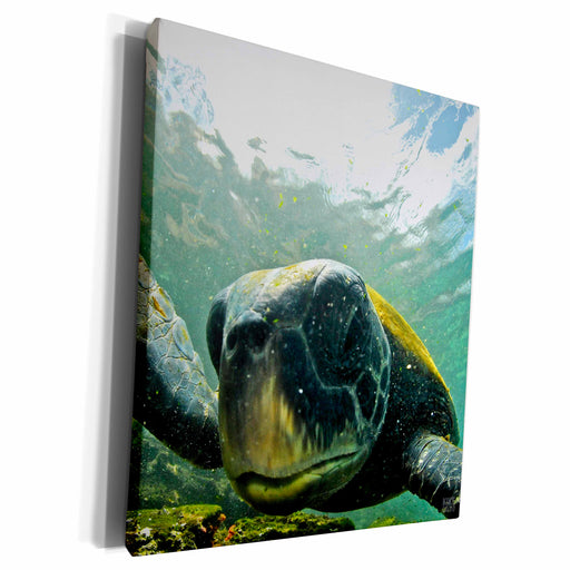 image of Museum Grade Canvas Wrap