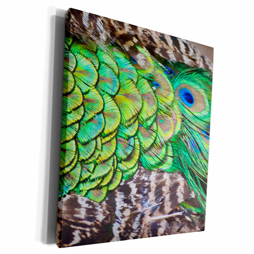 image of Museum Grade Canvas Wrap