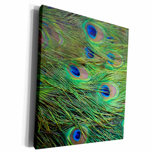 image of Museum Grade Canvas Wrap