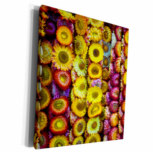 image of Museum Grade Canvas Wrap