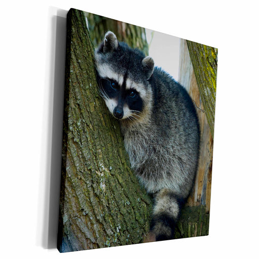 image of Museum Grade Canvas Wrap
