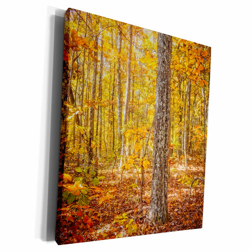image of Museum Grade Canvas Wrap
