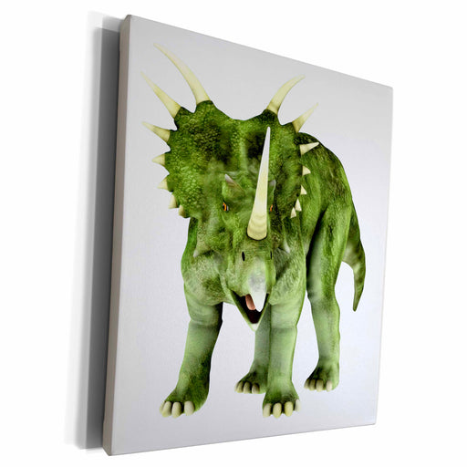 image of Museum Grade Canvas Wrap