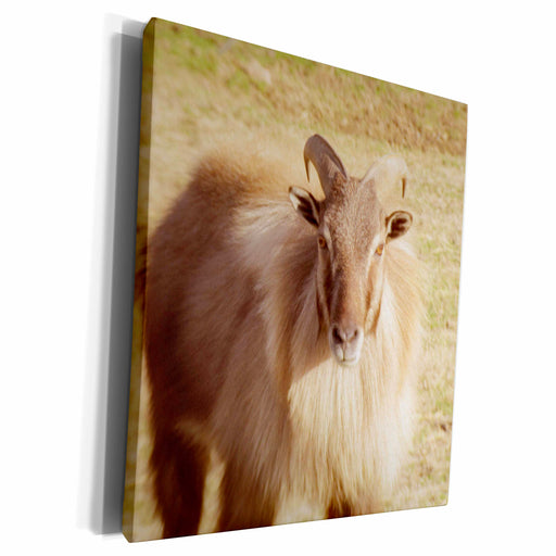 image of Museum Grade Canvas Wrap