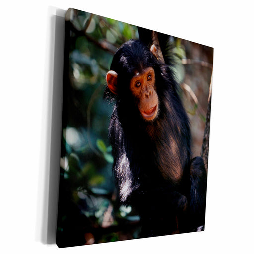 image of Museum Grade Canvas Wrap