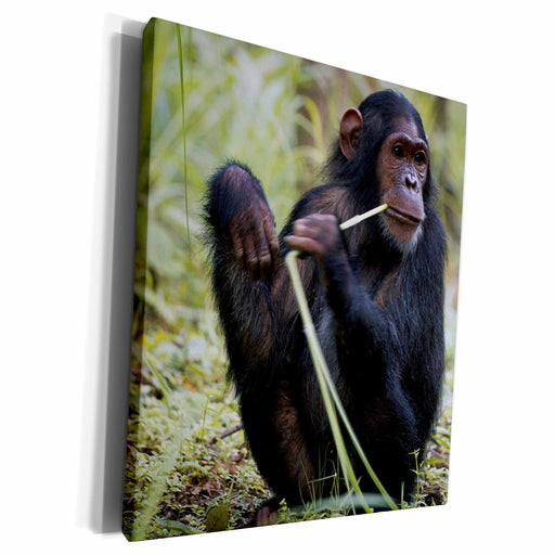 image of Museum Grade Canvas Wrap