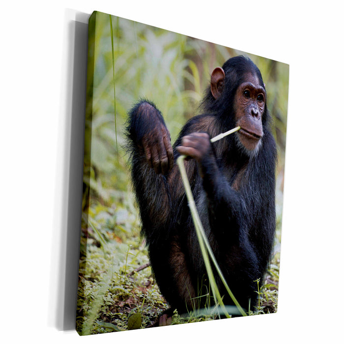 image of Museum Grade Canvas Wrap