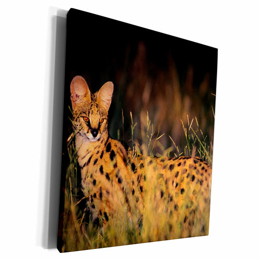 image of Museum Grade Canvas Wrap
