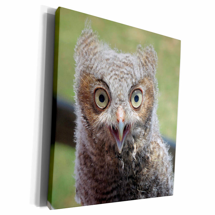 image of Museum Grade Canvas Wrap