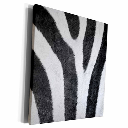 image of Museum Grade Canvas Wrap