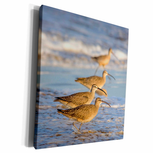 image of Museum Grade Canvas Wrap