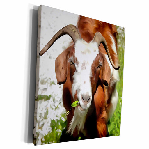 image of Museum Grade Canvas Wrap