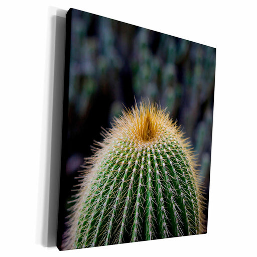 image of Museum Grade Canvas Wrap