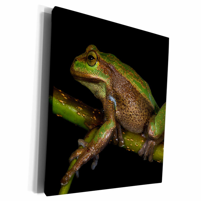 image of Museum Grade Canvas Wrap