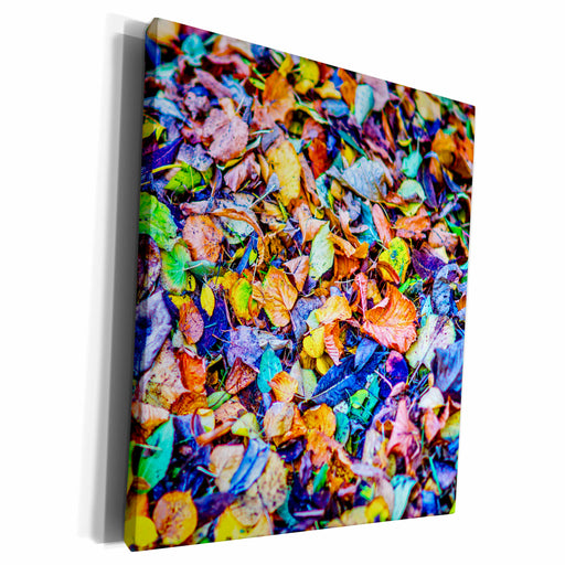 image of Museum Grade Canvas Wrap