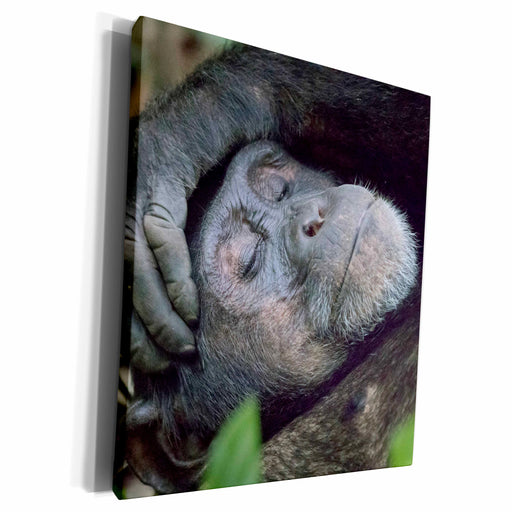 image of Museum Grade Canvas Wrap