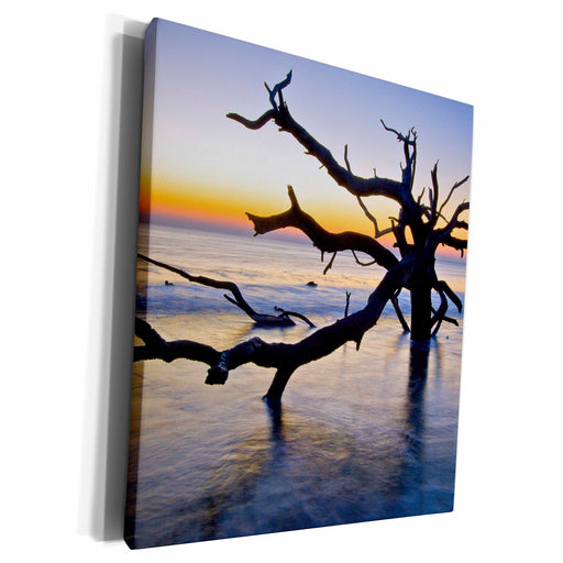 image of Museum Grade Canvas Wrap