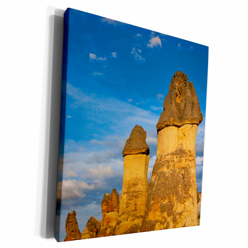 image of Museum Grade Canvas Wrap