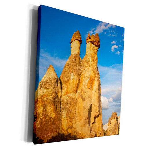 image of Museum Grade Canvas Wrap