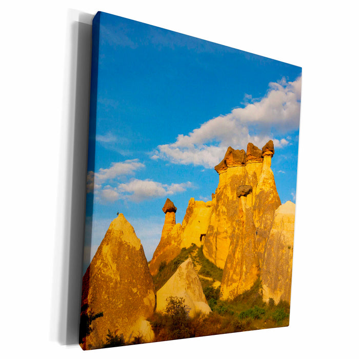 image of Museum Grade Canvas Wrap