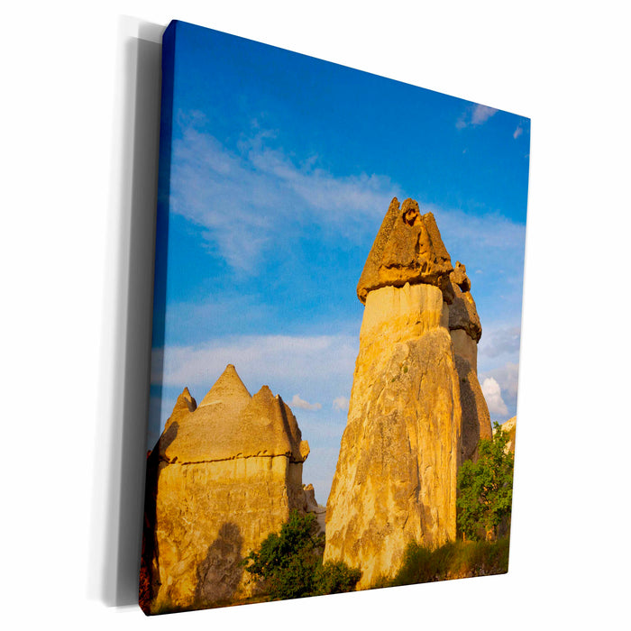 image of Museum Grade Canvas Wrap