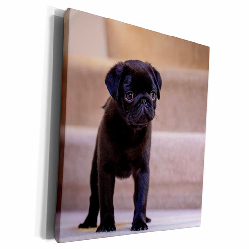 image of Museum Grade Canvas Wrap