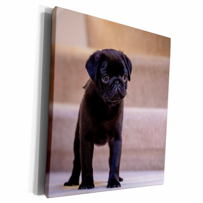 image of Museum Grade Canvas Wrap