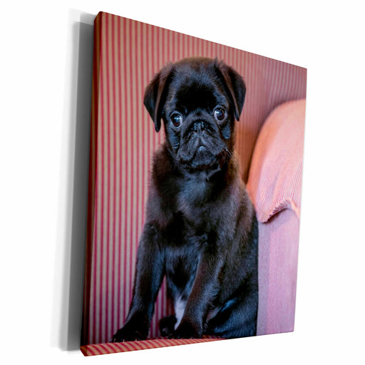 image of Museum Grade Canvas Wrap