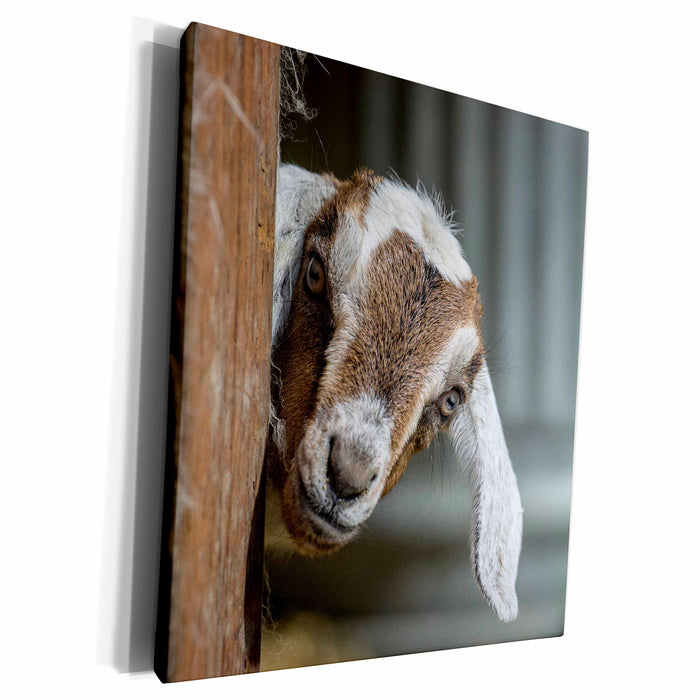 image of Museum Grade Canvas Wrap