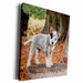 image of Museum Grade Canvas Wrap