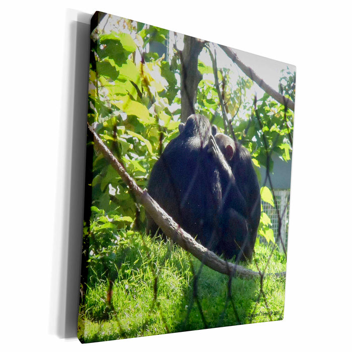 image of Museum Grade Canvas Wrap