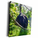 image of Museum Grade Canvas Wrap