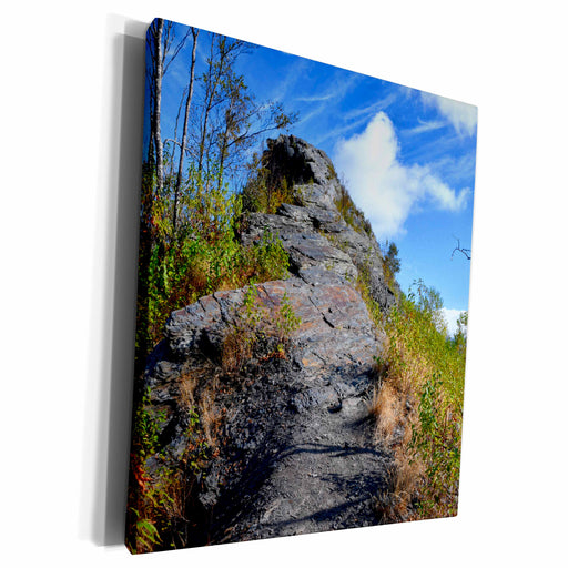 image of Museum Grade Canvas Wrap