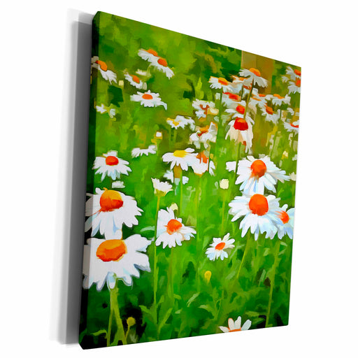 image of Museum Grade Canvas Wrap