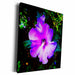 image of Museum Grade Canvas Wrap