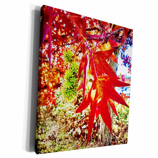 image of Museum Grade Canvas Wrap