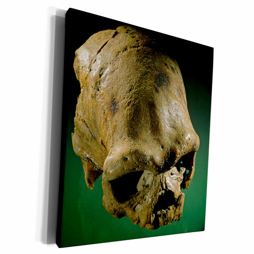 image of Museum Grade Canvas Wrap