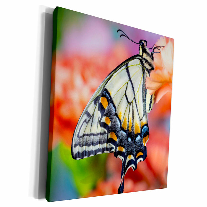 image of Museum Grade Canvas Wrap