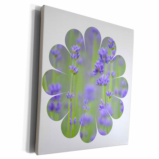 image of Museum Grade Canvas Wrap